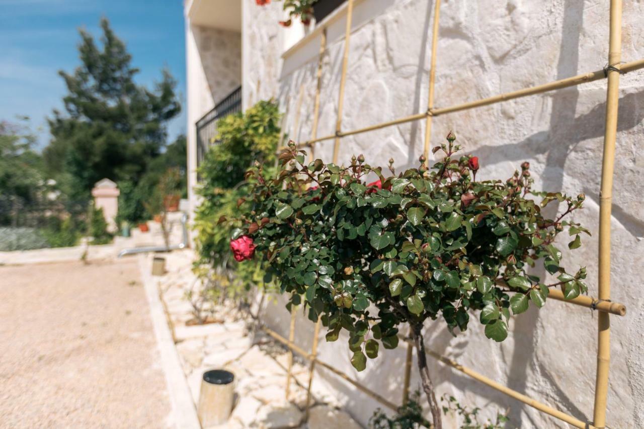 Hedon-Stone Apartment Starigrad Paklenica Exterior photo